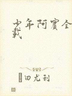 少年阿宾全集下载封面