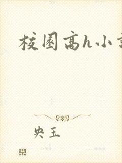 校园高h小说封面
