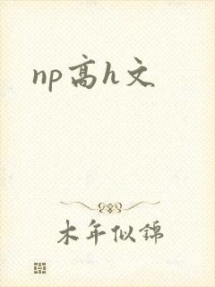 np高h文