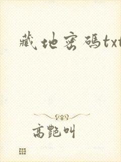 藏地密码txt