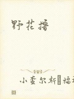 野花撸封面