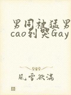 男同被猛男房东cao到哭Gay封面