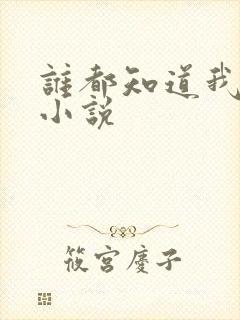 谁都知道我爱你小说