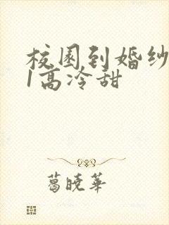 校园到婚纱1V1高冷甜