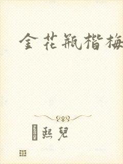 金花瓶楷梅花5封面