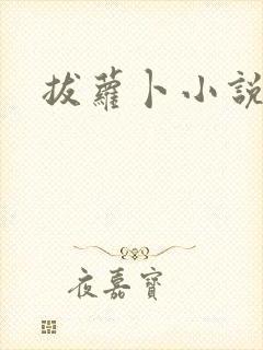 拔萝卜小说