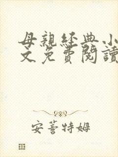 母亲经典小说全文免费阅读封面