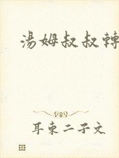 汤姆叔叔转接口