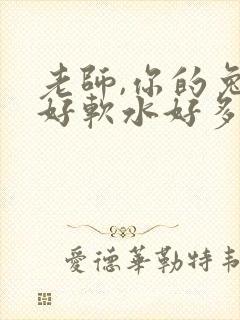 老师,你的兔子好软水好多