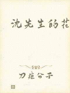 沈先生的花式调