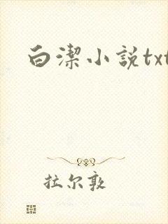 白洁小说txt
