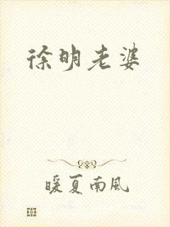 徐明老婆封面