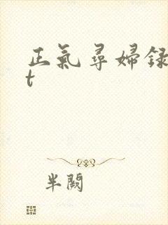 正气寻妇录txt