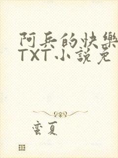 阿兵的快乐生活TXT小说免费阅读全章封面