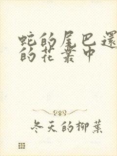 蛇的尾巴还在我的花丛中