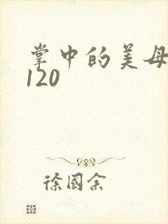 掌中的美母版主120封面