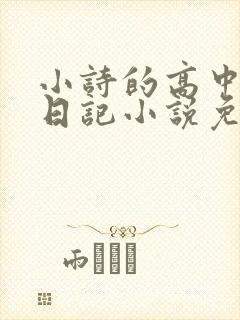 小诗的高中成长日记小说免费阅读
