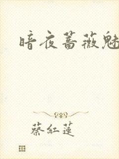 暗夜蔷薇魅