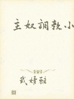 主奴调教小说封面