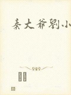 秦大爷刘小静