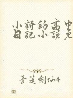 小诗的高中成长日记小说免费阅读