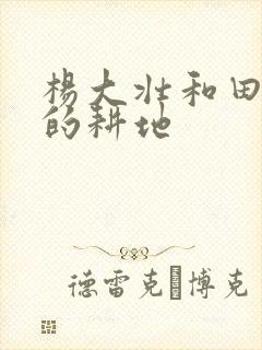杨大壮和田桂花的耕地