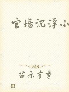官场沉浮小说封面