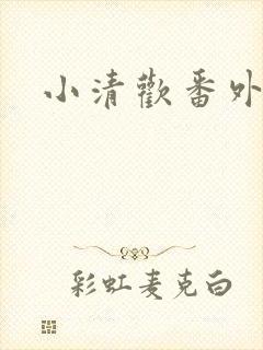 小清欢番外封面