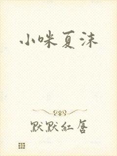 小咪夏沫封面