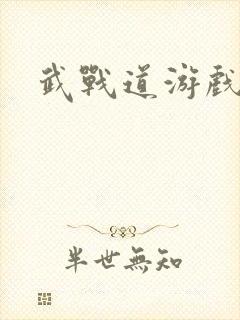 武战道游戏