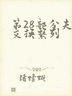 第28部分夫妇交换系列