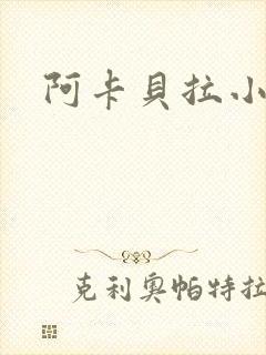 阿卡贝拉小说