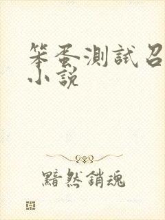 笨蛋测试召唤兽小说