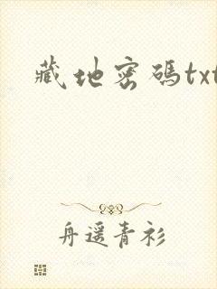 藏地密码txt