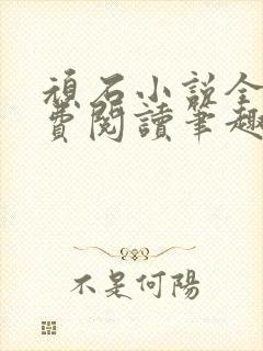 顽石小说全文免费阅读笔趣阁封面