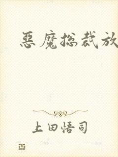 恶魔总裁放了我封面
