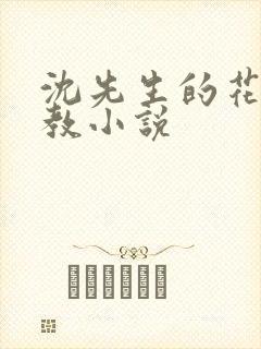 沈先生的花式管教小说
