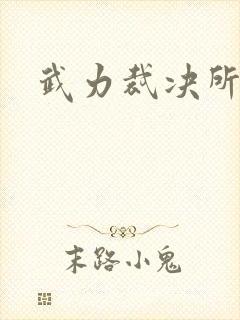 武力裁决所