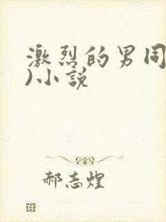 激烈的男同(h)小说