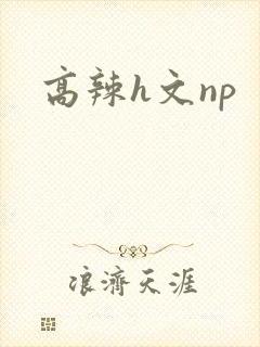 高辣h文np