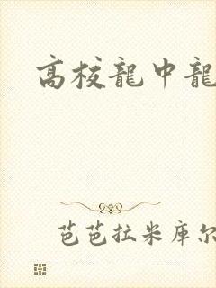高校龙中龙