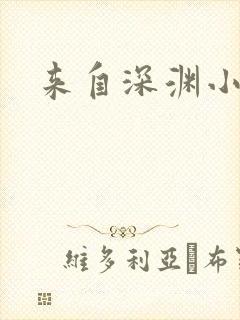 来自深渊小说