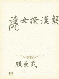 渣女撩汉系统NPC封面