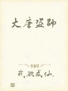 大唐盗帅