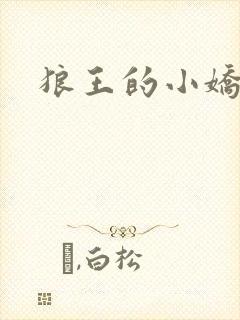 狼王的小娇妻