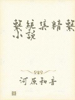 系统集精系统 小说封面
