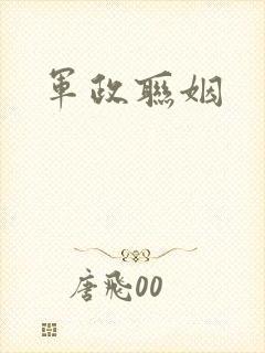 军政联姻