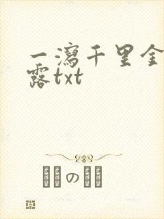 一泻千里金银花露txt