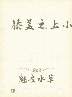 膝盖之上小说