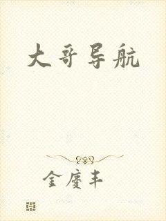 大哥导航